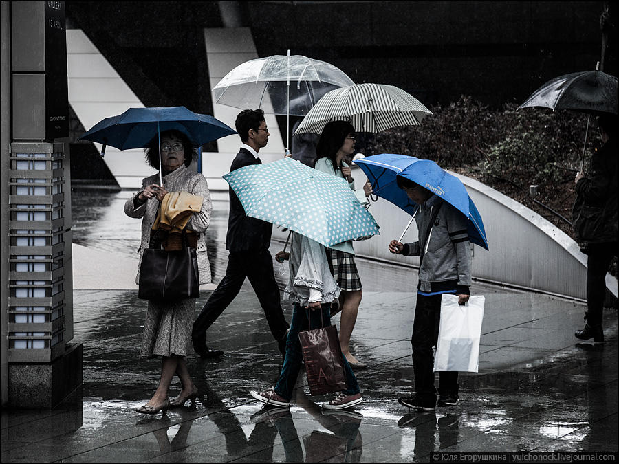 Фотография: Токио, город зонтиков №4 - BigPicture.ru