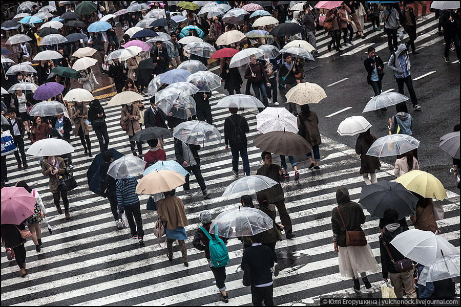 Фотография: Токио, город зонтиков №5 - BigPicture.ru