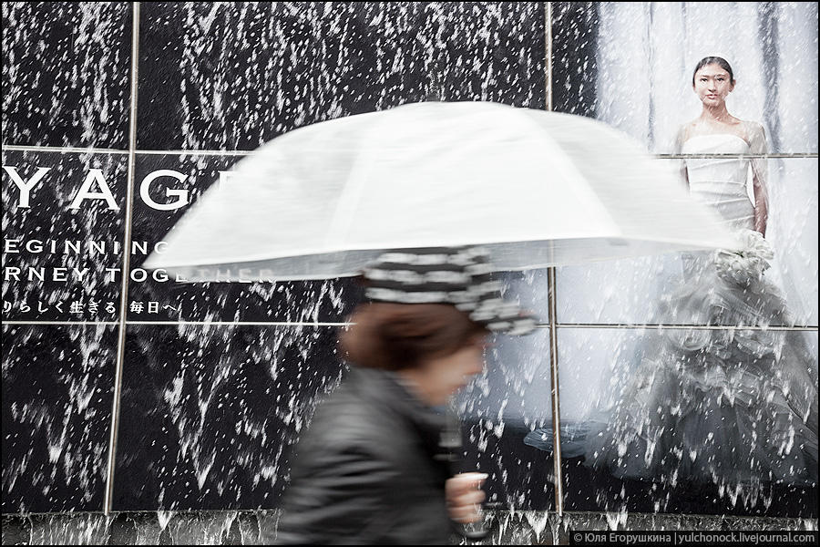 Фотография: Токио, город зонтиков №10 - BigPicture.ru