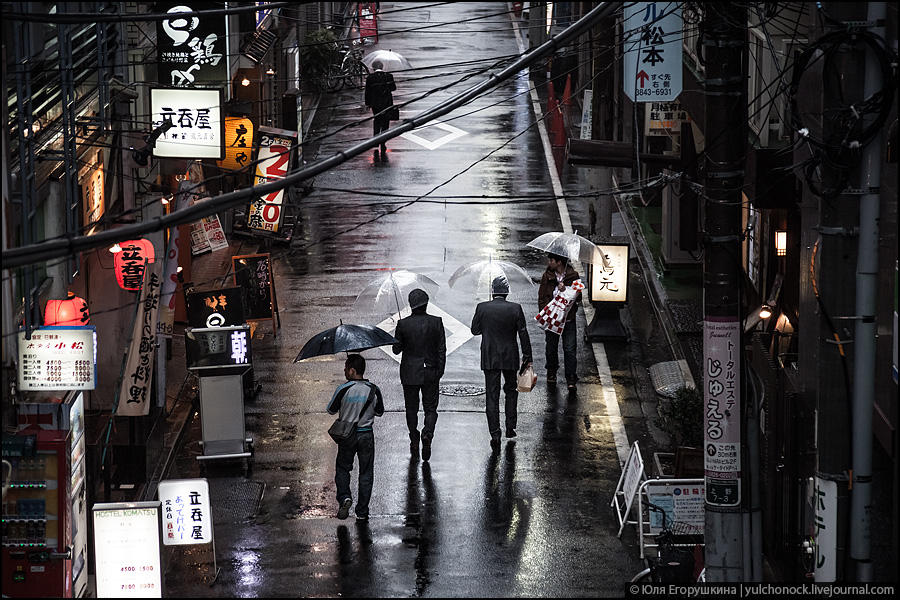 Фотография: Токио, город зонтиков №14 - BigPicture.ru