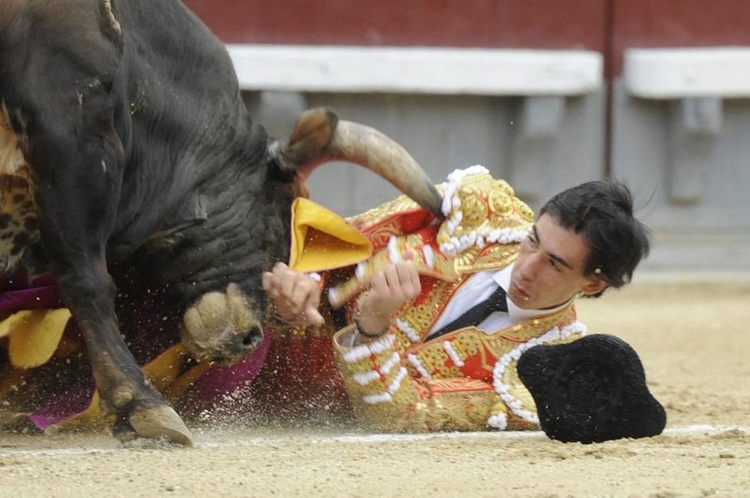 Фотография: Испанские быки одержали историческую победу №12 - BigPicture.ru