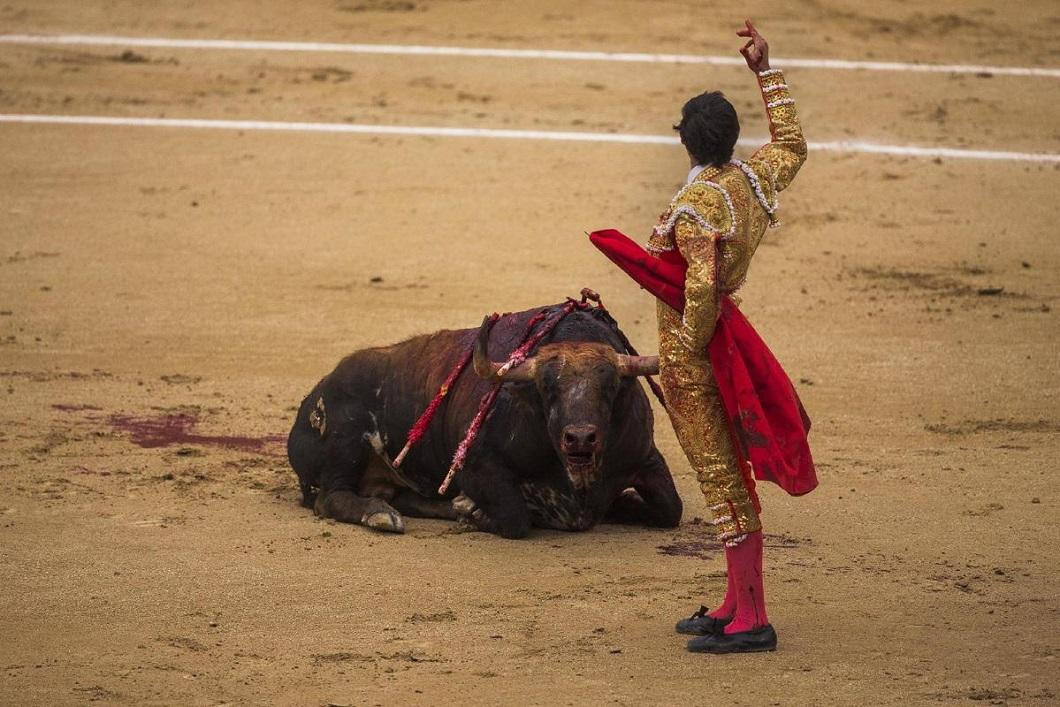 Фотография: Испанские быки одержали историческую победу №14 - BigPicture.ru