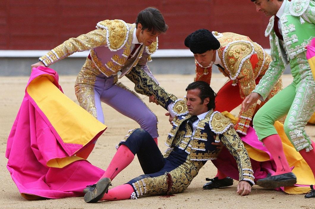 Фотография: Испанские быки одержали историческую победу №6 - BigPicture.ru