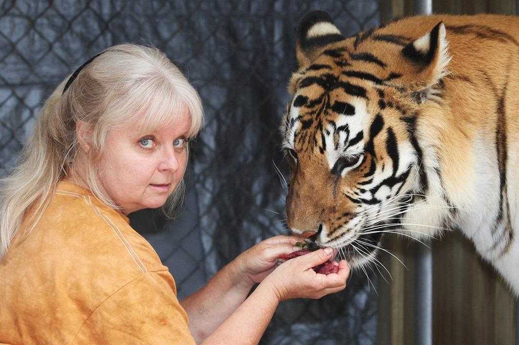 Фотография: Жизнь с тиграми №2 - BigPicture.ru