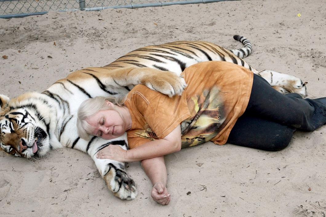 Фотография: Жизнь с тиграми №4 - BigPicture.ru