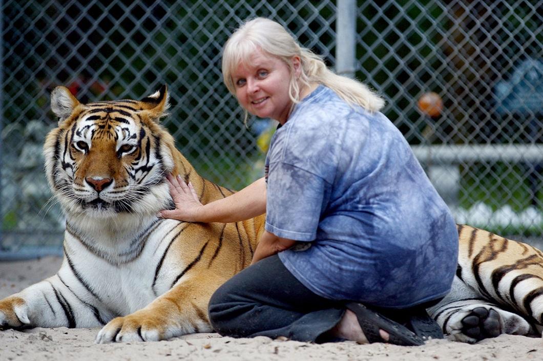 Фотография: Жизнь с тиграми №5 - BigPicture.ru