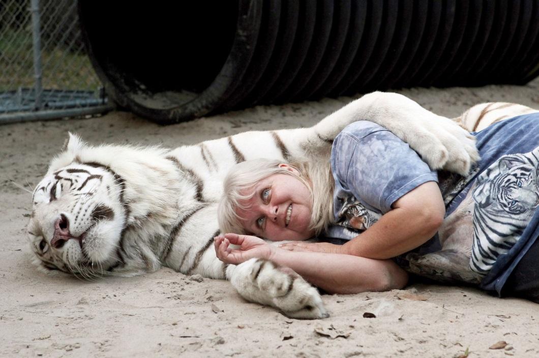 Фотография: Жизнь с тиграми №6 - BigPicture.ru