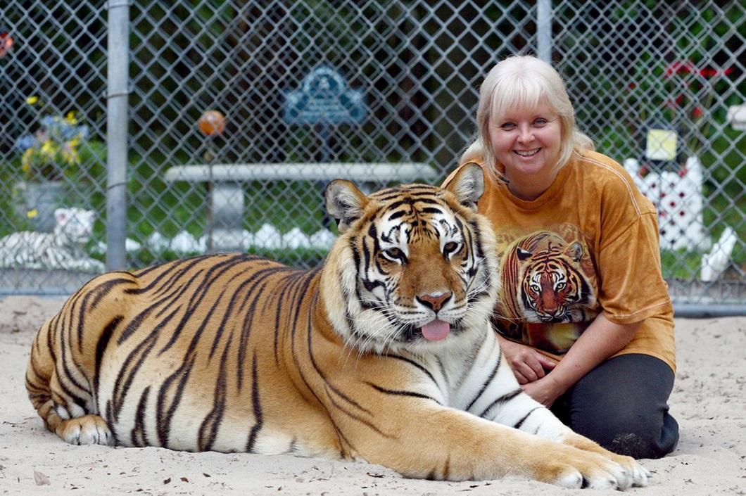 Фотография: Жизнь с тиграми №9 - BigPicture.ru