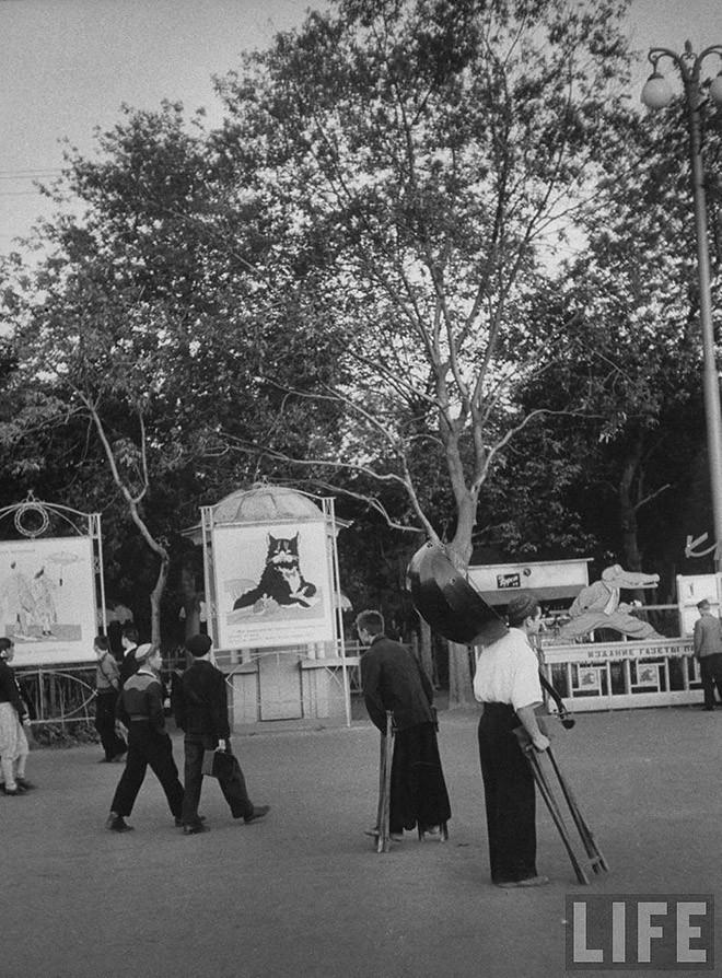 Фотография: Москвички в 1956 году на снимках фотографа LIFE Лизы Ларсен №34 - BigPicture.ru