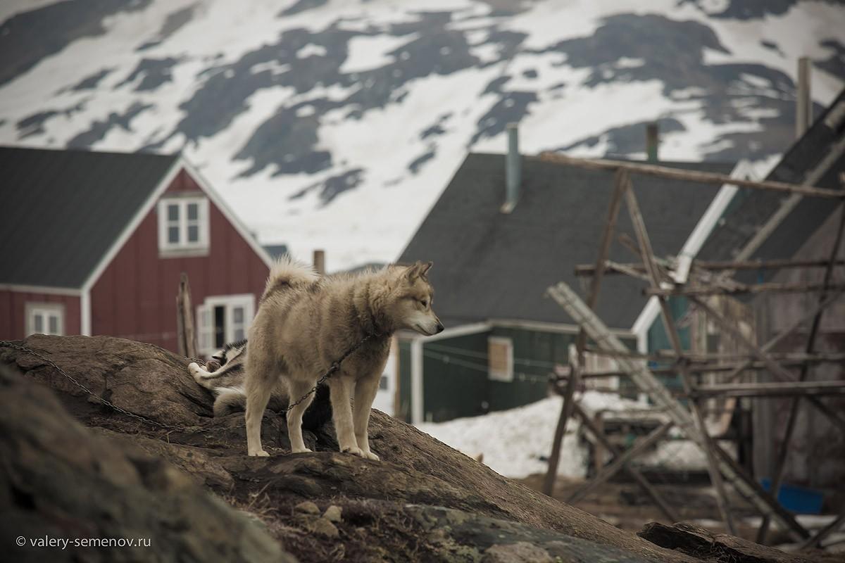 Фотография: Пересекая Гренландию №3 - BigPicture.ru