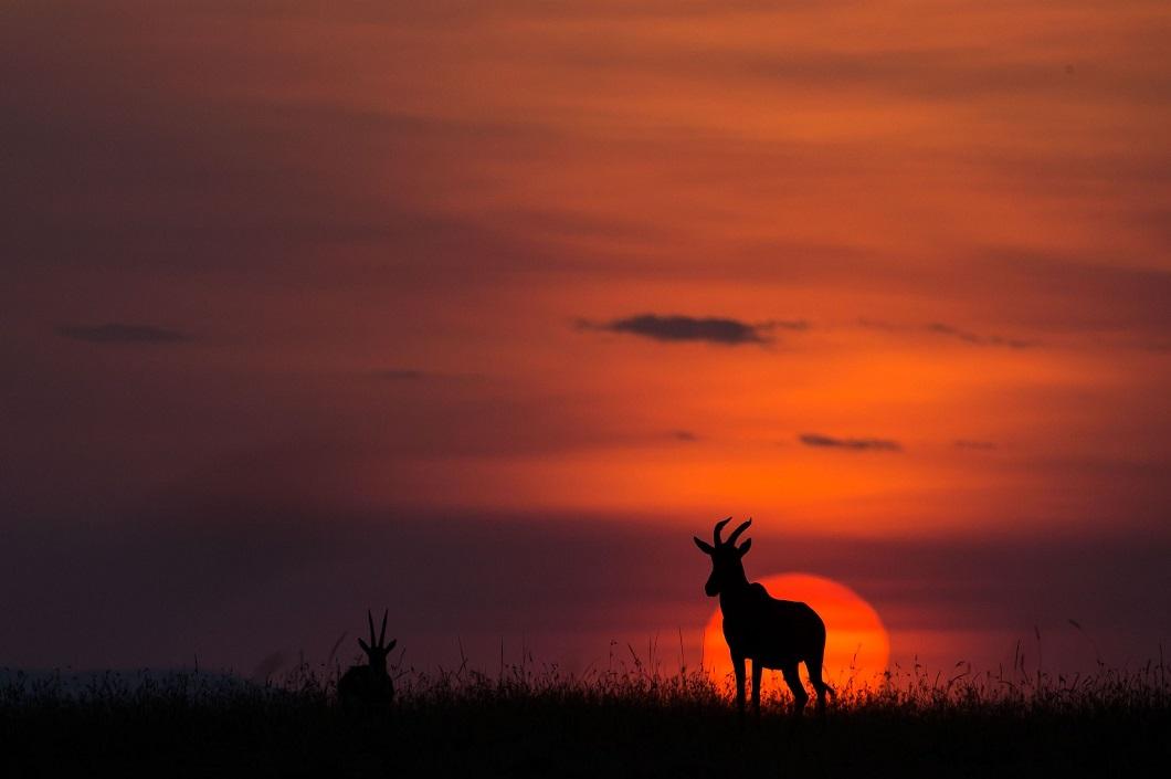 Потрясающие африканские закаты от Пола Гольдштейна фото