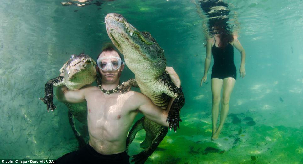 Фотография: Отважные любители животных плавают со спасенными аллигаторами №9 - BigPicture.ru