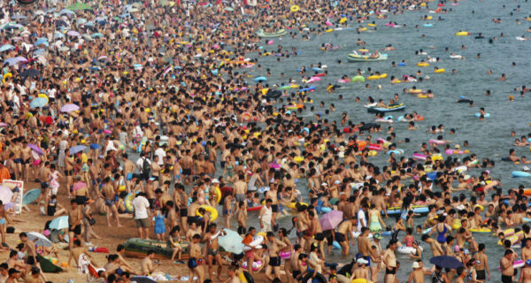 Нас стало слишком много, и это невозможно изменить