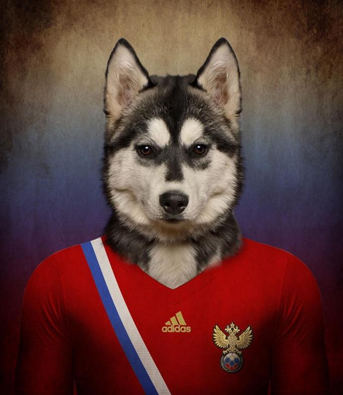 Фотография: Собаки, одетые в формы национальных сборных мира №5 - BigPicture.ru