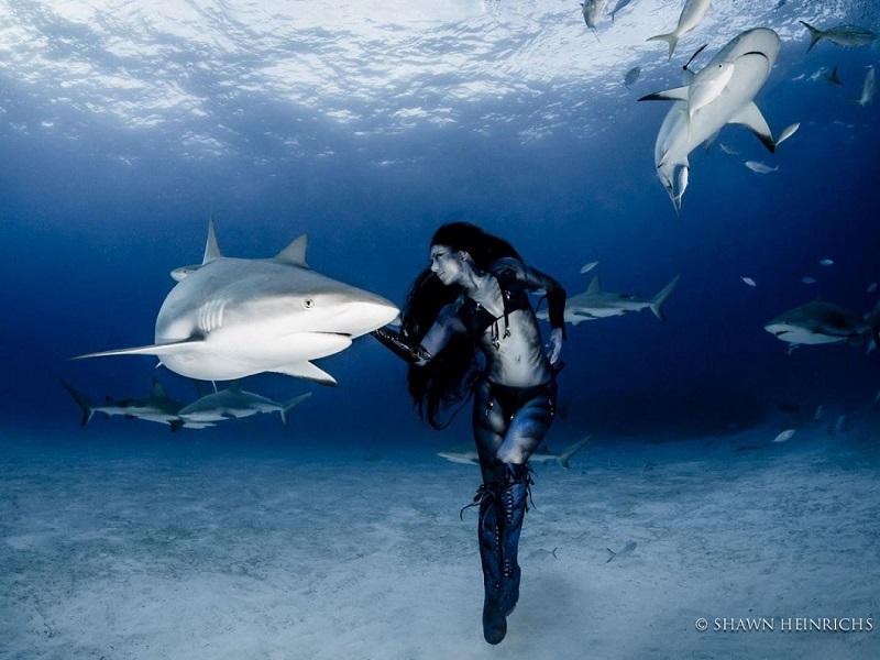 Фотография: Танцы с тигровыми акулами №1 - BigPicture.ru