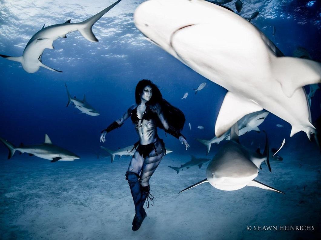 Фотография: Танцы с тигровыми акулами №2 - BigPicture.ru
