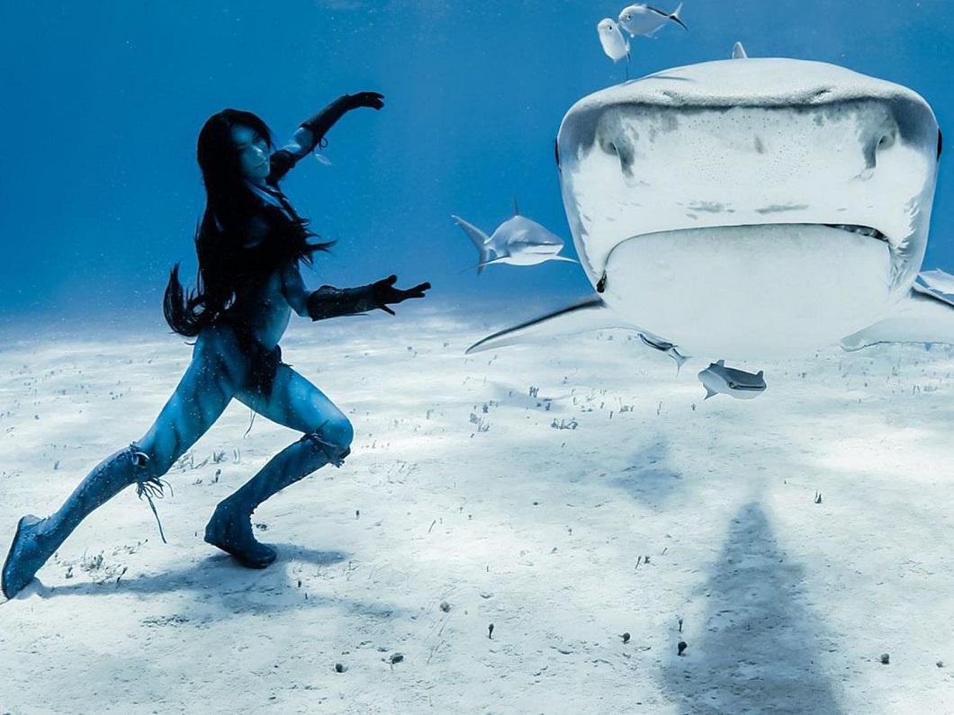Фотография: Танцы с тигровыми акулами №13 - BigPicture.ru