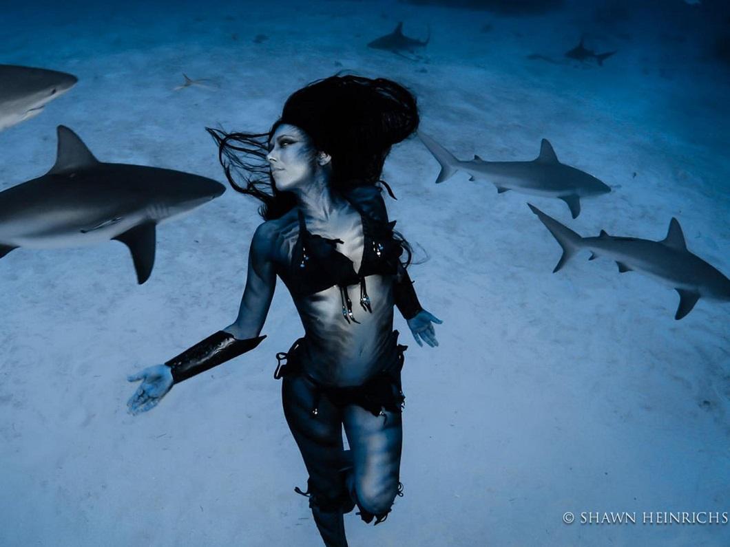 Фотография: Танцы с тигровыми акулами №7 - BigPicture.ru