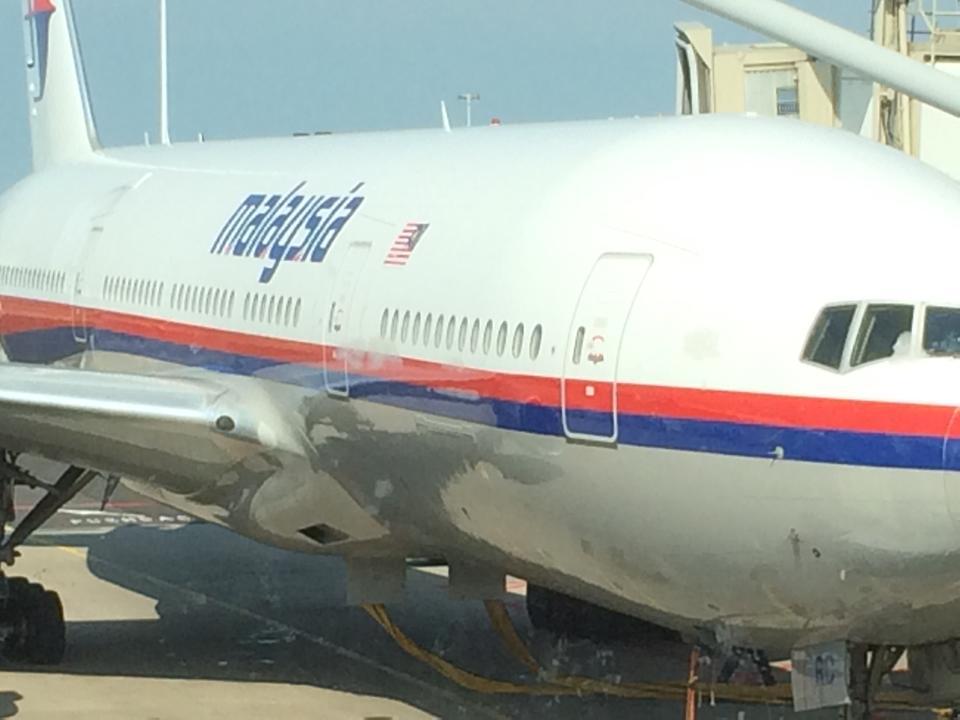 Фотография: На территории Украины был сбит Boeing 777, который летел из Амстердама в Куала-Лумпур №12 - BigPicture.ru