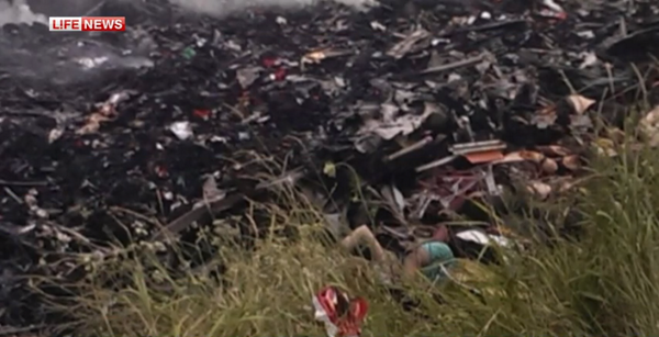 Фотография: На территории Украины был сбит Boeing 777, который летел из Амстердама в Куала-Лумпур №19 - BigPicture.ru