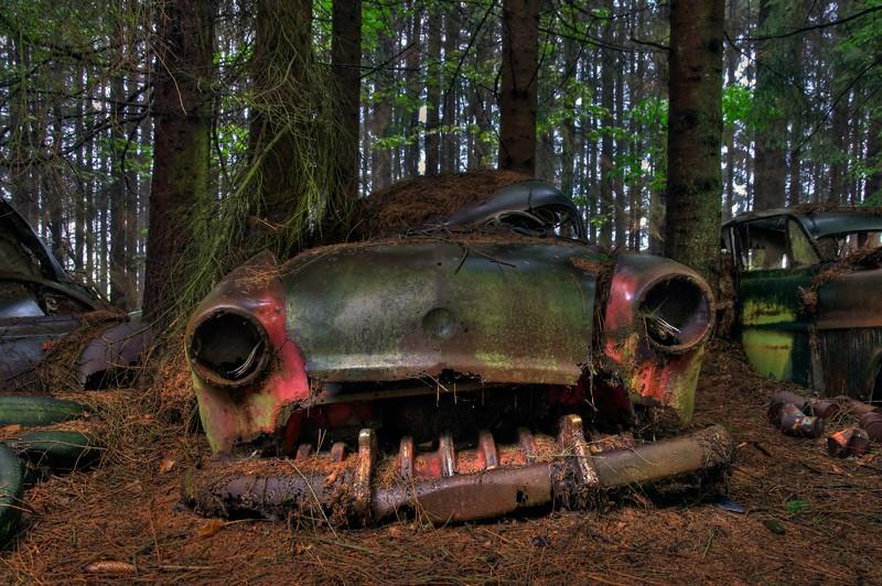 Фотография: Громадная пробка в бельгийском лесу №2 - BigPicture.ru