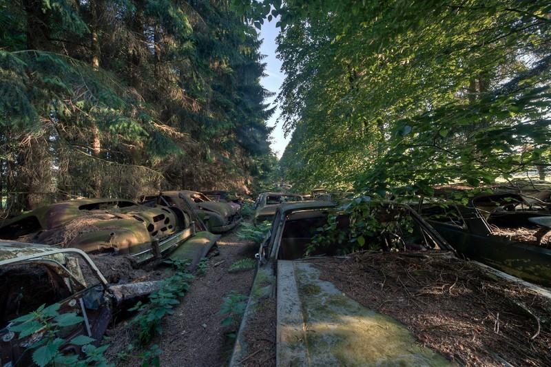 Фотография: Громадная пробка в бельгийском лесу №6 - BigPicture.ru