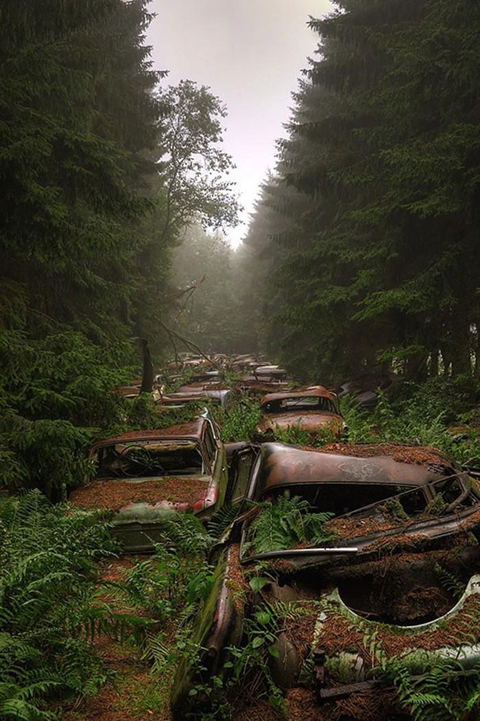 Фотография: Громадная пробка в бельгийском лесу №26 - BigPicture.ru
