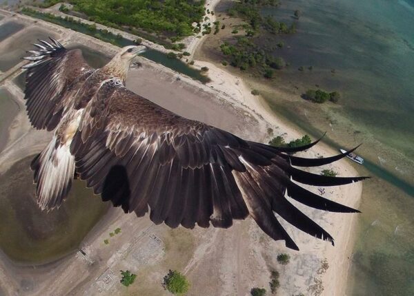 Победители фотоконкурса Dronestagram