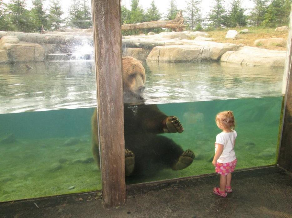 Фотография: 30 человек, которые нашли друзей в зоопарке №2 - BigPicture.ru