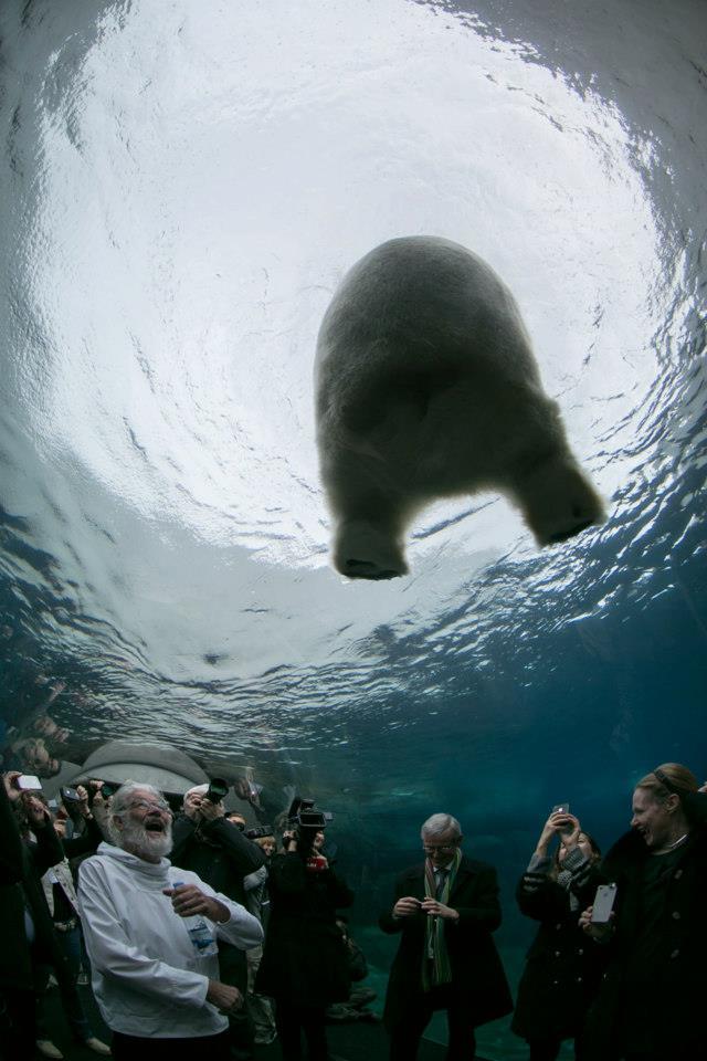 Фотография: 30 человек, которые нашли друзей в зоопарке №23 - BigPicture.ru