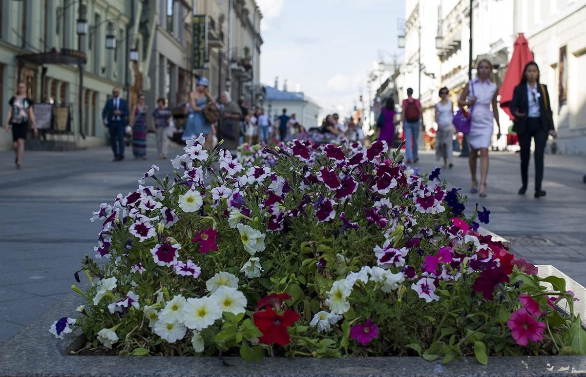 Фотография: Собянинские улицы, часть 1 №3 - BigPicture.ru