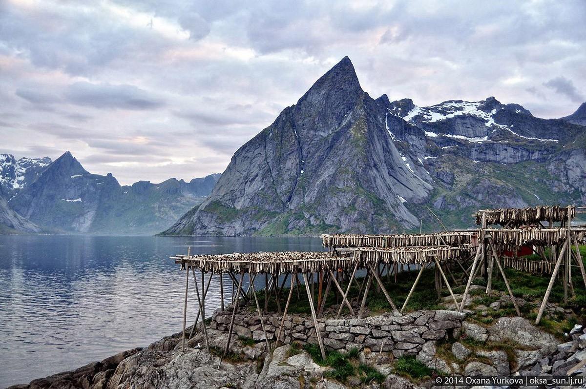 Фотография: Заполярная Норвегия №18 - BigPicture.ru