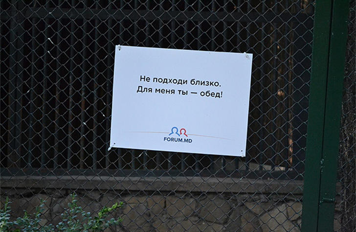Фотография: Позитив из зоопарка №4 - BigPicture.ru