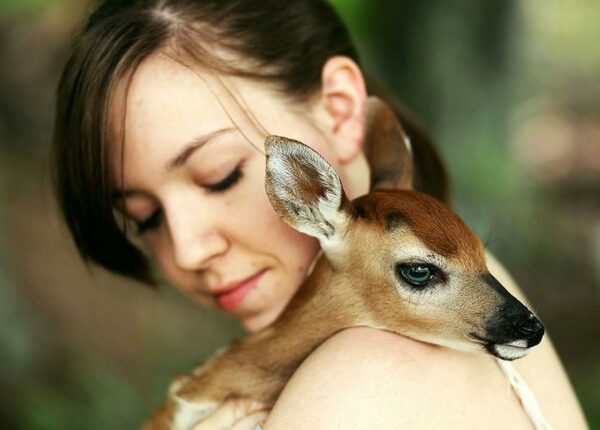 Девочка и ее олененок — история необычного питомца