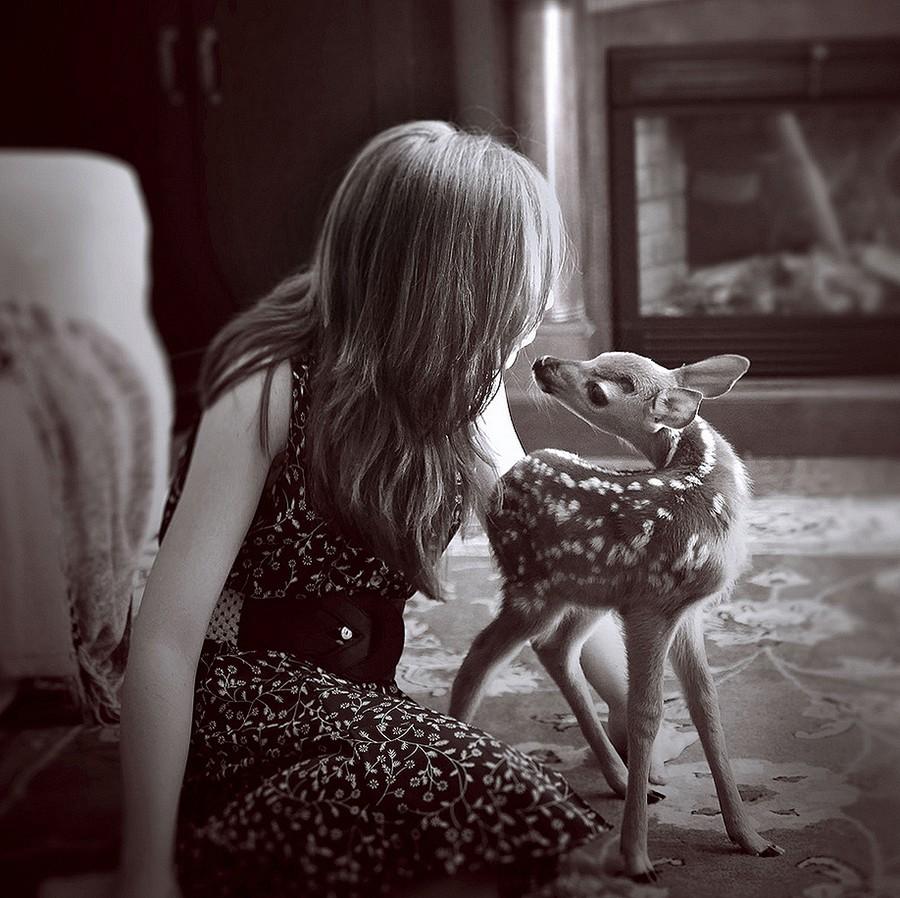Фотография: Девочка и ее олененок — история необычного питомца №5 - BigPicture.ru