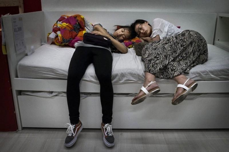 Фотография: Любители поспать в магазине ИКЕА №1 - BigPicture.ru
