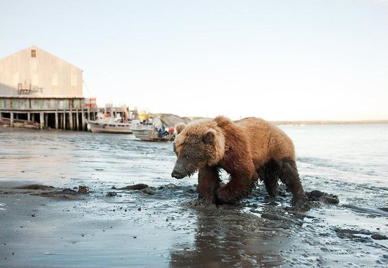 Фотография: Как живут рыболовецкие сообщества северных морей №8 - BigPicture.ru