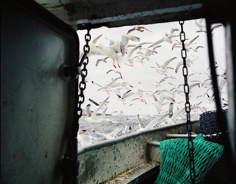 Фотография: Как живут рыболовецкие сообщества северных морей №11 - BigPicture.ru