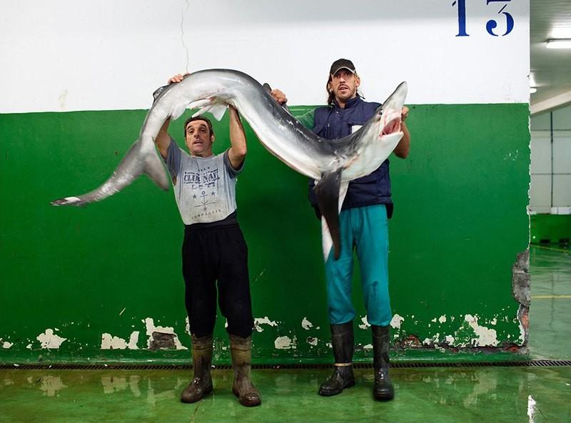 Фотография: Как живут рыболовецкие сообщества северных морей №12 - BigPicture.ru