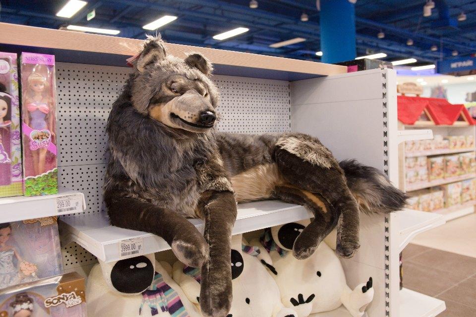 Фотография: Самый большой магазин игрушек в России №26 - BigPicture.ru