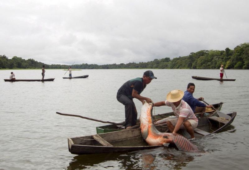 Фотография: Как рыбачат и охотятся индейцы Амазонии №4 - BigPicture.ru