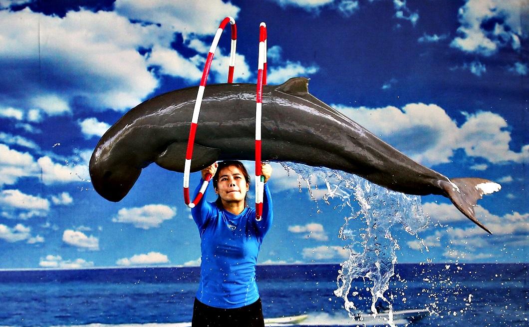 Фотография: Дайвер кормит акул и другие лучшие фото животных со всего мира за неделю №16 - BigPicture.ru