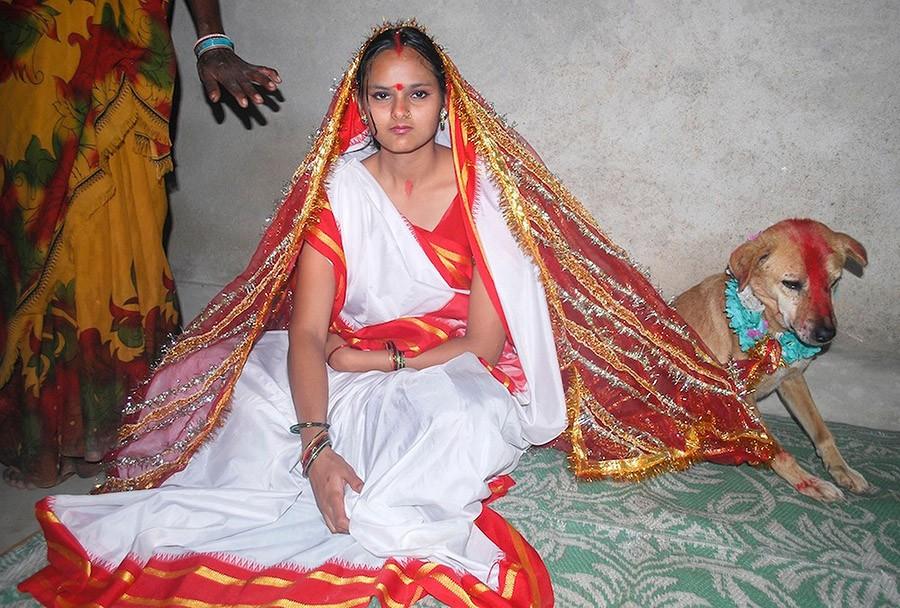 Фотография: Индийская девушка вышла замуж за собаку, чтобы снять проклятие №4 - BigPicture.ru
