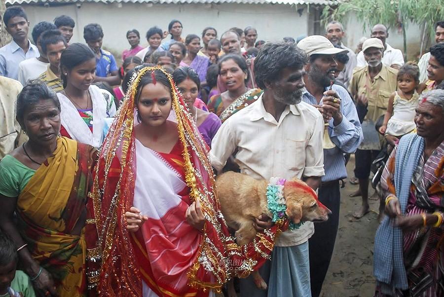 Фотография: Индийская девушка вышла замуж за собаку, чтобы снять проклятие №8 - BigPicture.ru