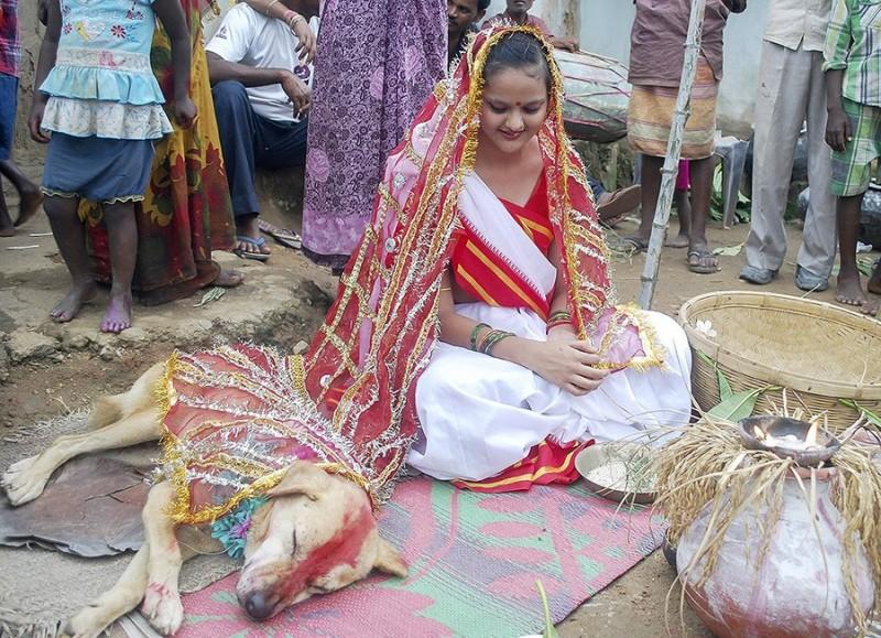 Фотография: Индийская девушка вышла замуж за собаку, чтобы снять проклятие №1 - BigPicture.ru