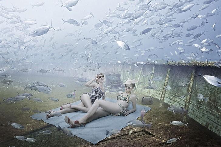 Фотография: Жизнь на затонувшем корабле: подводный мир фотографа и дайвера Андреаса Франке №7 - BigPicture.ru