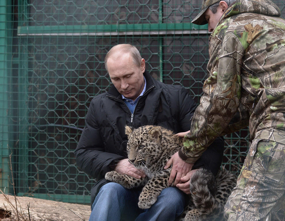 Фотография: Как Владимир Путин смотрит на вещи №22 - BigPicture.ru