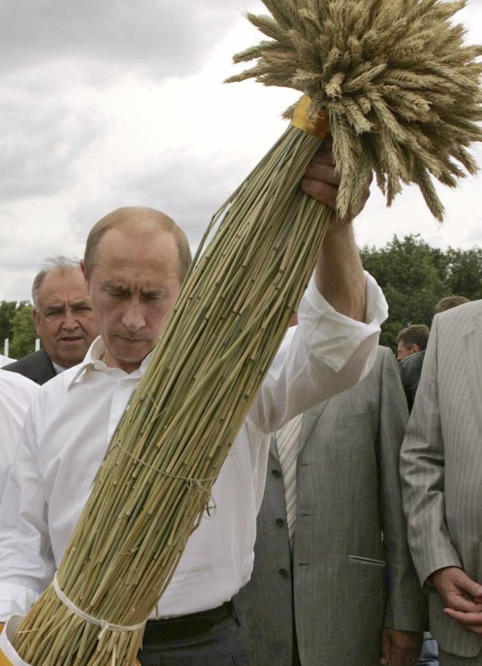 Фотография: Как Владимир Путин смотрит на вещи №40 - BigPicture.ru