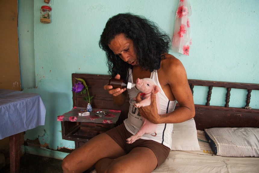 Фотография: Изменили себе: жизнь кубинских красоток-транссексуалов №8 - BigPicture.ru