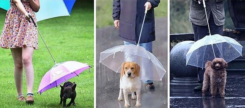 Фотография: 19 удивительных зонтов для осени №20 - BigPicture.ru